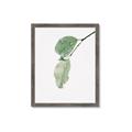 Picture of Dewey leaves _GroupedProduct_Rectangle_Portrait_Photography _GroupedProduct_Rectangle_Portrait_Framed_Matted_