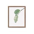 Picture of Dewey leaves _GroupedProduct_Rectangle_Portrait_Photography _GroupedProduct_Rectangle_Portrait_Framed_Matted_
