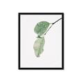 Picture of Dewey leaves _GroupedProduct_Rectangle_Portrait_Photography _GroupedProduct_Rectangle_Portrait_Framed_Matted_