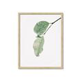 Picture of Dewey leaves _GroupedProduct_Rectangle_Portrait_Photography _GroupedProduct_Rectangle_Portrait_Framed_Matted_