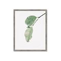 Picture of Dewey leaves _GroupedProduct_Rectangle_Portrait_Photography _GroupedProduct_Rectangle_Portrait_Framed_Matted_