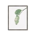 Picture of Dewey leaves _GroupedProduct_Rectangle_Portrait_Photography _GroupedProduct_Rectangle_Portrait_Framed_Matted_