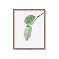 Picture of Dewey leaves _GroupedProduct_Rectangle_Portrait_Photography _GroupedProduct_Rectangle_Portrait_Framed_Matted_