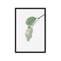 Picture of Dewey leaves _GroupedProduct_Rectangle_Portrait_Photography _GroupedProduct_Rectangle_Portrait_Framed_Matted_