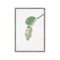 Picture of Dewey leaves _GroupedProduct_Rectangle_Portrait_Photography _GroupedProduct_Rectangle_Portrait_Framed_Matted_