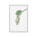 Picture of Dewey leaves _GroupedProduct_Rectangle_Portrait_Photography _GroupedProduct_Rectangle_Portrait_Framed_Matted_