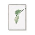 Picture of Dewey leaves _GroupedProduct_Rectangle_Portrait_Photography _GroupedProduct_Rectangle_Portrait_Framed_Matted_