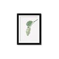 Picture of Dewey leaves _GroupedProduct_Rectangle_Portrait_Photography _GroupedProduct_Rectangle_Portrait_Framed_Matted_