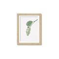 Picture of Dewey leaves _GroupedProduct_Rectangle_Portrait_Photography _GroupedProduct_Rectangle_Portrait_Framed_Matted_