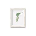 Picture of Dewey leaves _GroupedProduct_Rectangle_Portrait_Photography _GroupedProduct_Rectangle_Portrait_Framed_Matted_