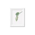 Picture of Dewey leaves _GroupedProduct_Rectangle_Portrait_Photography _GroupedProduct_Rectangle_Portrait_Framed_Matted_