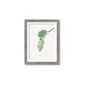 Picture of Dewey leaves _GroupedProduct_Rectangle_Portrait_Photography _GroupedProduct_Rectangle_Portrait_Framed_Matted_
