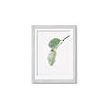 Picture of Dewey leaves _GroupedProduct_Rectangle_Portrait_Photography _GroupedProduct_Rectangle_Portrait_Framed_Matted_