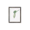 Picture of Dewey leaves _GroupedProduct_Rectangle_Portrait_Photography _GroupedProduct_Rectangle_Portrait_Framed_Matted_