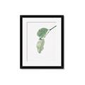 Picture of Dewey leaves _GroupedProduct_Rectangle_Portrait_Photography _GroupedProduct_Rectangle_Portrait_Framed_Matted_