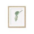 Picture of Dewey leaves _GroupedProduct_Rectangle_Portrait_Photography _GroupedProduct_Rectangle_Portrait_Framed_Matted_