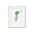 Picture of Dewey leaves _GroupedProduct_Rectangle_Portrait_Photography _GroupedProduct_Rectangle_Portrait_Framed_Matted_