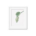 Picture of Dewey leaves _GroupedProduct_Rectangle_Portrait_Photography _GroupedProduct_Rectangle_Portrait_Framed_Matted_