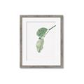 Picture of Dewey leaves _GroupedProduct_Rectangle_Portrait_Photography _GroupedProduct_Rectangle_Portrait_Framed_Matted_