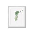 Picture of Dewey leaves _GroupedProduct_Rectangle_Portrait_Photography _GroupedProduct_Rectangle_Portrait_Framed_Matted_
