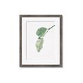 Picture of Dewey leaves _GroupedProduct_Rectangle_Portrait_Photography _GroupedProduct_Rectangle_Portrait_Framed_Matted_