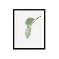 Picture of Dewey leaves _GroupedProduct_Rectangle_Portrait_Photography _GroupedProduct_Rectangle_Portrait_Framed_Matted_