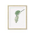 Picture of Dewey leaves _GroupedProduct_Rectangle_Portrait_Photography _GroupedProduct_Rectangle_Portrait_Framed_Matted_