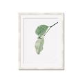 Picture of Dewey leaves _GroupedProduct_Rectangle_Portrait_Photography _GroupedProduct_Rectangle_Portrait_Framed_Matted_