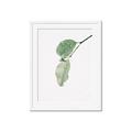 Picture of Dewey leaves _GroupedProduct_Rectangle_Portrait_Photography _GroupedProduct_Rectangle_Portrait_Framed_Matted_