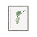 Picture of Dewey leaves _GroupedProduct_Rectangle_Portrait_Photography _GroupedProduct_Rectangle_Portrait_Framed_Matted_