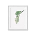 Picture of Dewey leaves _GroupedProduct_Rectangle_Portrait_Photography _GroupedProduct_Rectangle_Portrait_Framed_Matted_
