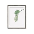 Picture of Dewey leaves _GroupedProduct_Rectangle_Portrait_Photography _GroupedProduct_Rectangle_Portrait_Framed_Matted_