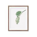 Picture of Dewey leaves _GroupedProduct_Rectangle_Portrait_Photography _GroupedProduct_Rectangle_Portrait_Framed_Matted_