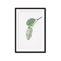 Picture of Dewey leaves _GroupedProduct_Rectangle_Portrait_Photography _GroupedProduct_Rectangle_Portrait_Framed_Matted_