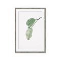 Picture of Dewey leaves _GroupedProduct_Rectangle_Portrait_Photography _GroupedProduct_Rectangle_Portrait_Framed_Matted_