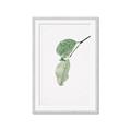 Picture of Dewey leaves _GroupedProduct_Rectangle_Portrait_Photography _GroupedProduct_Rectangle_Portrait_Framed_Matted_