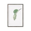 Picture of Dewey leaves _GroupedProduct_Rectangle_Portrait_Photography _GroupedProduct_Rectangle_Portrait_Framed_Matted_
