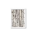 Picture of Birch Logs _GroupedProduct_Rectangle_Portrait_Photography _GroupedProduct_Rectangle_Portrait_Framed_Matted_
