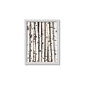 Picture of Birch Logs _GroupedProduct_Rectangle_Portrait_Photography _GroupedProduct_Rectangle_Portrait_Framed_Matted_