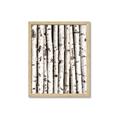 Picture of Birch Logs _GroupedProduct_Rectangle_Portrait_Photography _GroupedProduct_Rectangle_Portrait_Framed_Matted_