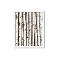 Picture of Birch Logs _GroupedProduct_Rectangle_Portrait_Photography _GroupedProduct_Rectangle_Portrait_Framed_Matted_
