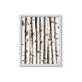 Picture of Birch Logs _GroupedProduct_Rectangle_Portrait_Photography _GroupedProduct_Rectangle_Portrait_Framed_Matted_