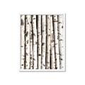 Picture of Birch Logs _GroupedProduct_Rectangle_Portrait_Photography _GroupedProduct_Rectangle_Portrait_Framed_Matted_