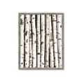 Picture of Birch Logs _GroupedProduct_Rectangle_Portrait_Photography _GroupedProduct_Rectangle_Portrait_Framed_Matted_