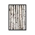 Picture of Birch Logs _GroupedProduct_Rectangle_Portrait_Photography _GroupedProduct_Rectangle_Portrait_Framed_Matted_