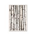Picture of Birch Logs _GroupedProduct_Rectangle_Portrait_Photography _GroupedProduct_Rectangle_Portrait_Framed_Matted_