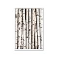 Picture of Birch Logs _GroupedProduct_Rectangle_Portrait_Photography _GroupedProduct_Rectangle_Portrait_Framed_Matted_