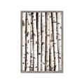 Picture of Birch Logs _GroupedProduct_Rectangle_Portrait_Photography _GroupedProduct_Rectangle_Portrait_Framed_Matted_