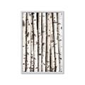 Picture of Birch Logs _GroupedProduct_Rectangle_Portrait_Photography _GroupedProduct_Rectangle_Portrait_Framed_Matted_