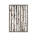 Picture of Birch Logs _GroupedProduct_Rectangle_Portrait_Photography _GroupedProduct_Rectangle_Portrait_Framed_Matted_